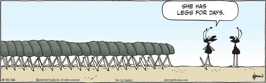 B.C. for Aug 31, 2024