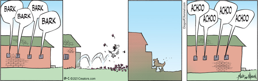 Dogs of C-Kennel for Sep 01, 2021