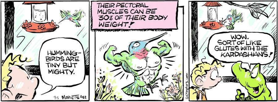 Shrimp and Grits for Sep 05, 2024