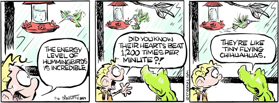 Shrimp and Grits for Sep 06, 2024