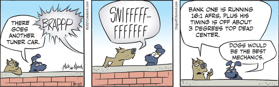 Dogs of C-Kennel for Sep 10, 2021
