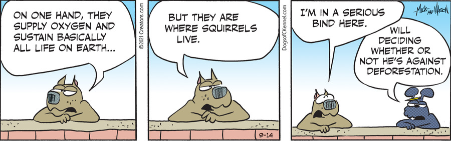 Dogs of C-Kennel for Sep 14, 2021