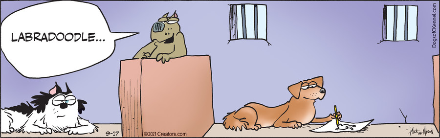 Dogs of C-Kennel for Sep 17, 2021