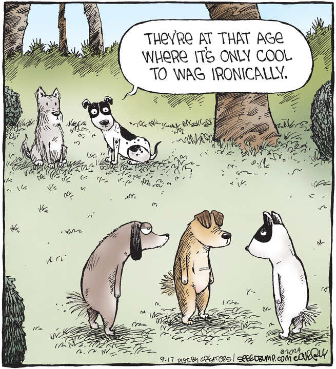 Speed Bump for Sep 17, 2024