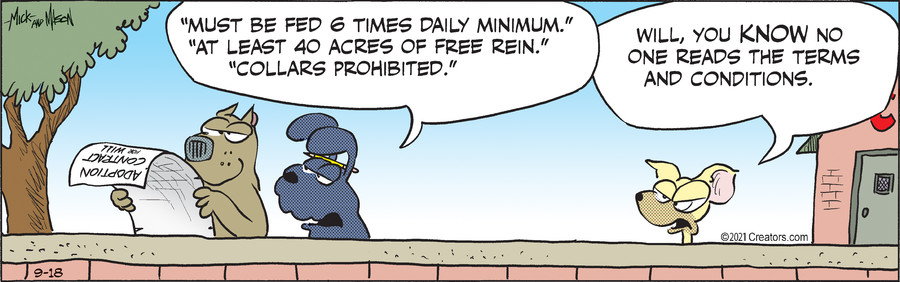 Dogs of C-Kennel for Sep 18, 2021