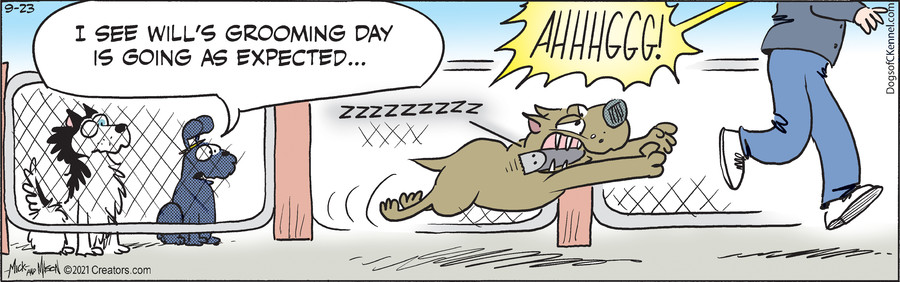 Dogs of C-Kennel for Sep 23, 2021