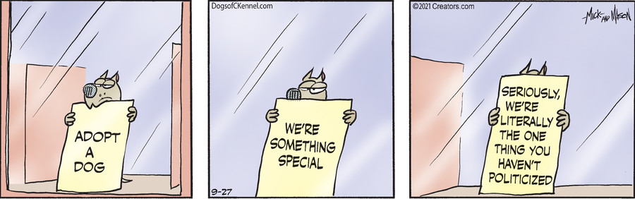 Dogs of C-Kennel for Sep 27, 2021