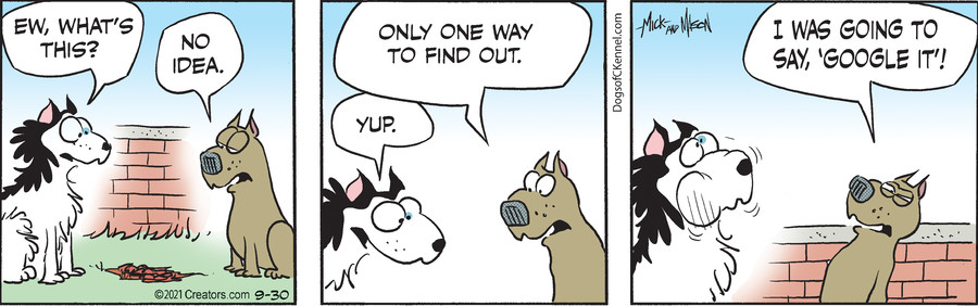 Dogs of C-Kennel for Sep 30, 2021