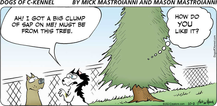 Dogs of C-Kennel for Oct 02, 2022