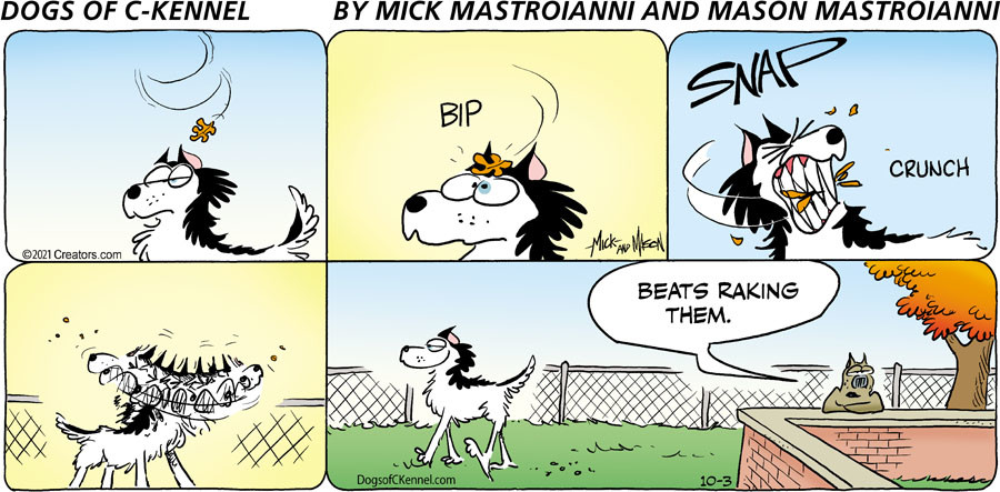 Dogs of C-Kennel for Oct 03, 2021