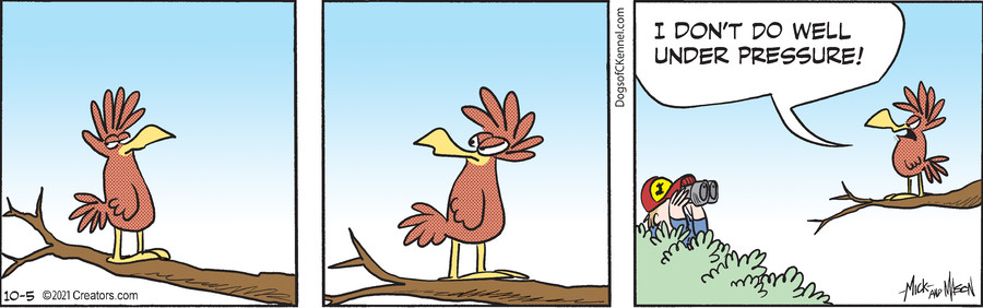 Dogs of C-Kennel for Oct 05, 2021