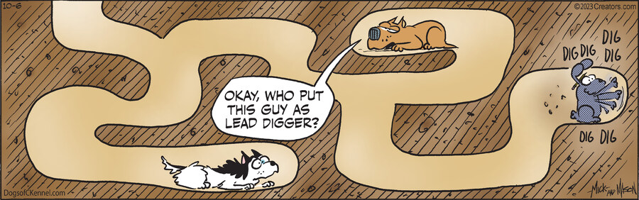 Dogs of C-Kennel for Oct 06, 2023