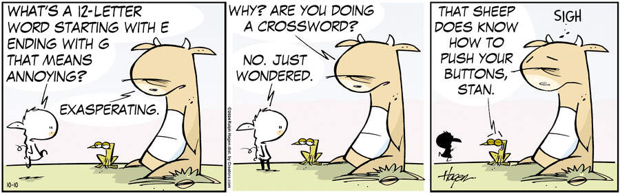 The Barn for Oct 10, 2024