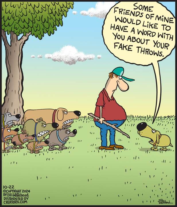 Free Range for Oct 22, 2024