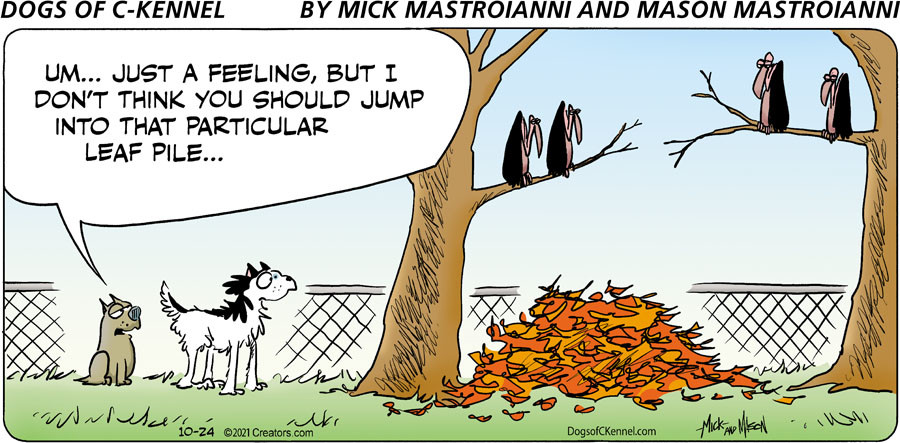 Dogs of C-Kennel for Oct 24, 2021