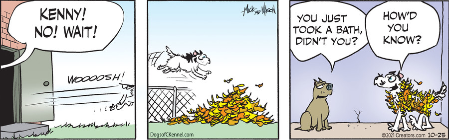 Dogs of C-Kennel for Oct 25, 2021