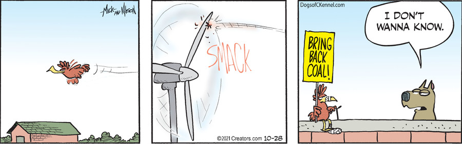 Dogs of C-Kennel for Oct 28, 2021
