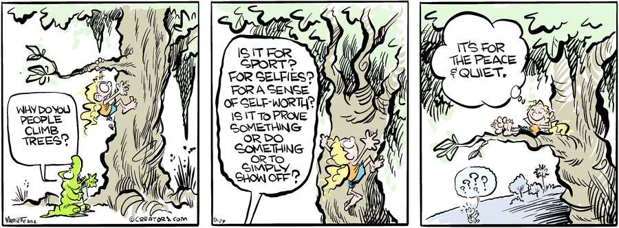 Shrimp and Grits for Oct 29, 2024