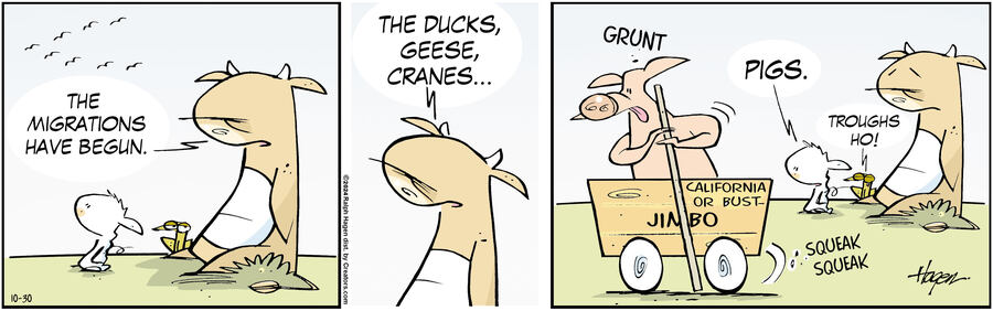 The Barn for Oct 30, 2024