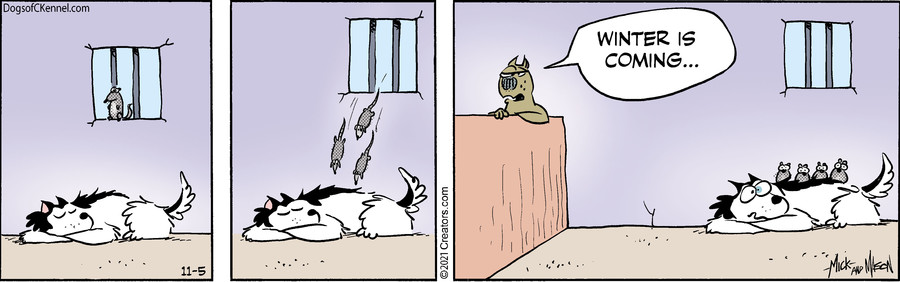 Dogs of C-Kennel for Nov 05, 2021