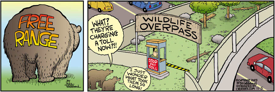 Free Range for Nov 05, 2023