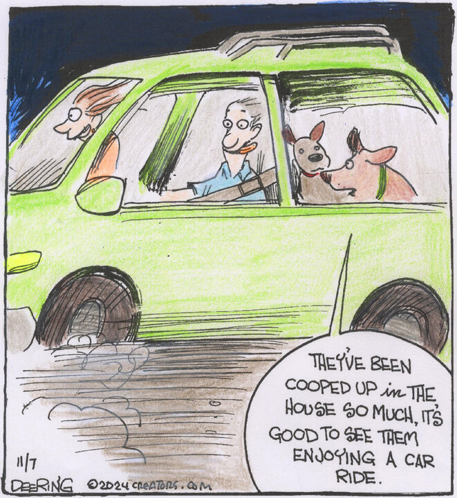 Strange Brew for Nov 07, 2024