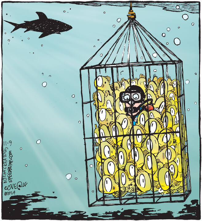 Speed Bump for Nov 09, 2024