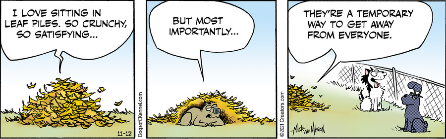 Dogs of C-Kennel for Nov 12, 2021