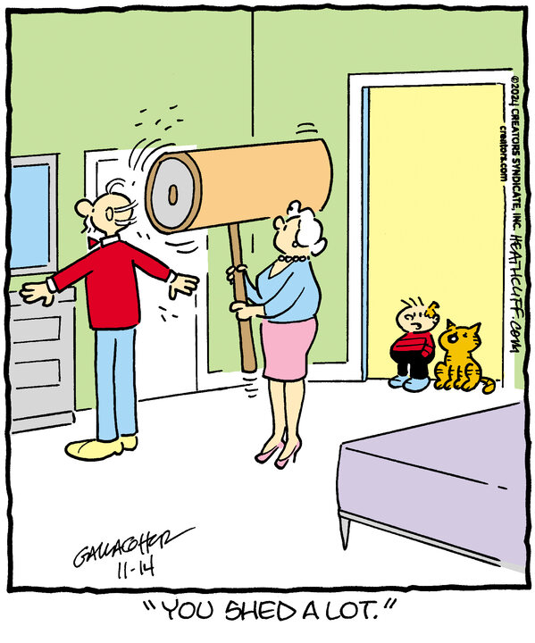 Heathcliff for Nov 14, 2024