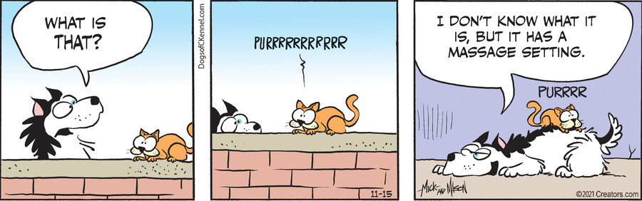 Dogs of C-Kennel for Nov 15, 2021