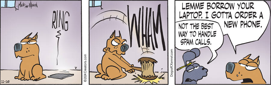 Dogs of C-Kennel for Nov 16, 2024