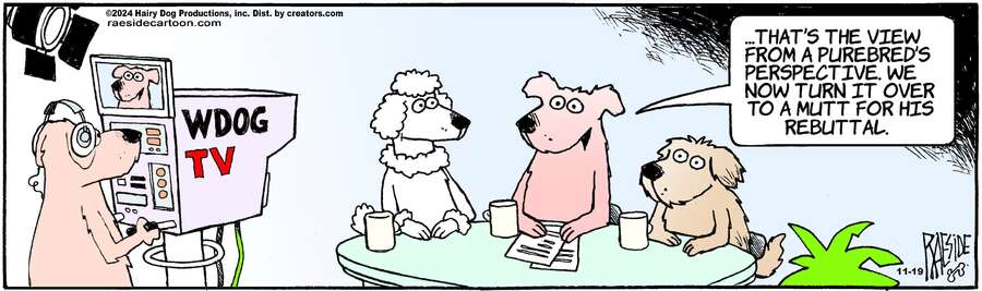 The Other Coast for Nov 19, 2024