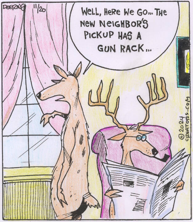 Strange Brew for Nov 20, 2024