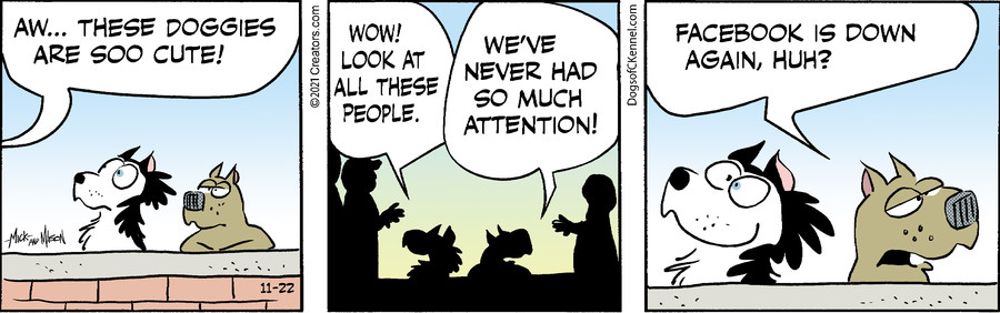Dogs of C-Kennel for Nov 22, 2021