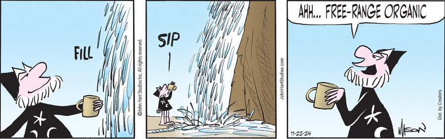 Wizard of Id for Nov 22, 2024