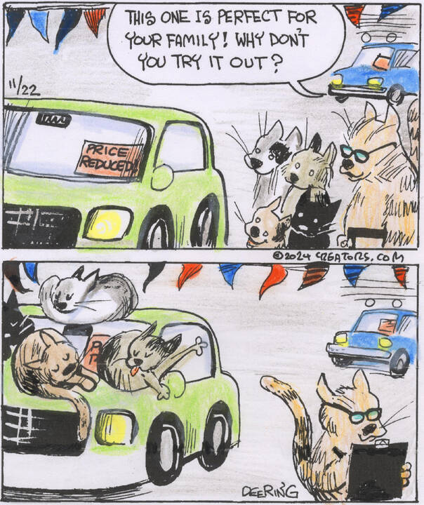 Strange Brew for Nov 22, 2024