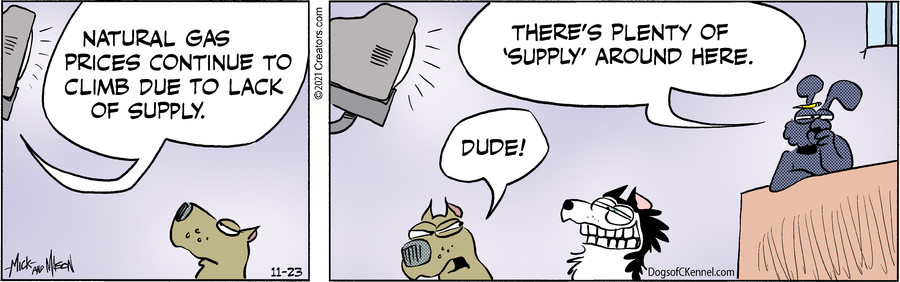 Dogs of C-Kennel for Nov 23, 2021