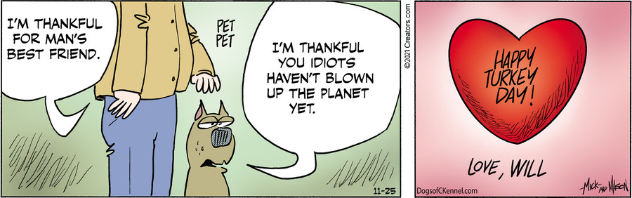 Dogs of C-Kennel for Nov 25, 2021