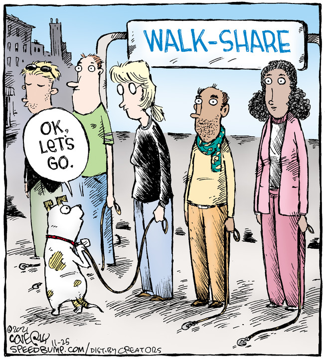 Speed Bump for Nov 25, 2021