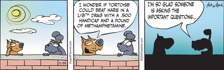 Dogs of C-Kennel for Nov 25, 2024