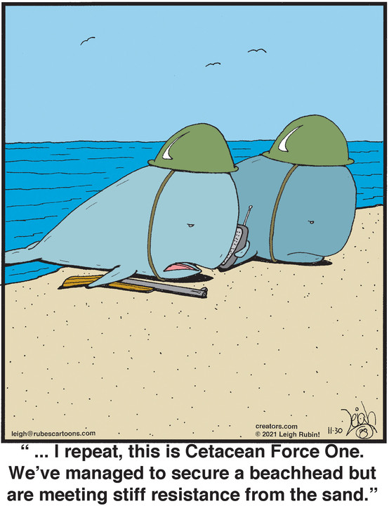 Rubes® for Nov 30, 2021