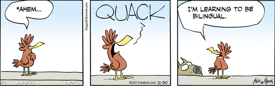 Dogs of C-Kennel for Nov 30, 2021