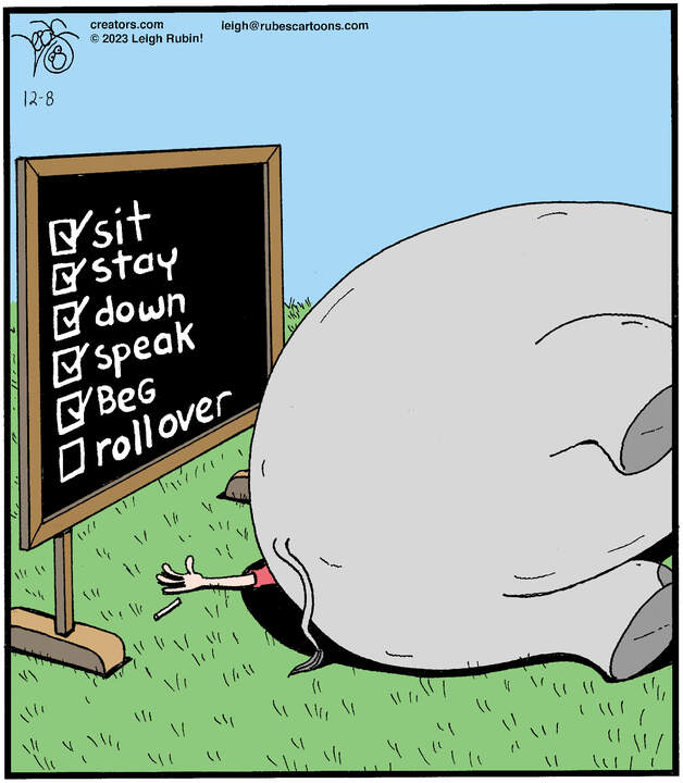 Rubes® for Dec 08, 2023