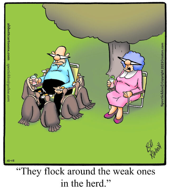 Spectickles for Dec 12, 2023