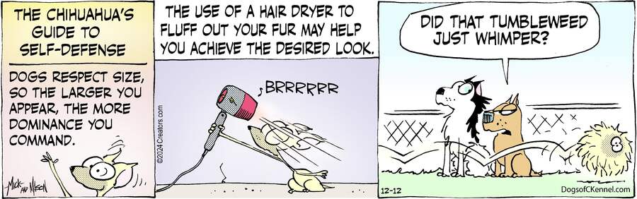 Dogs of C-Kennel for Dec 12, 2024
