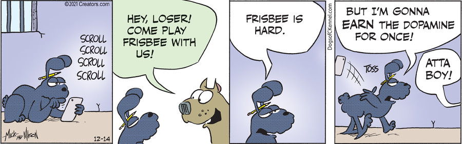 Dogs of C-Kennel for Dec 14, 2021