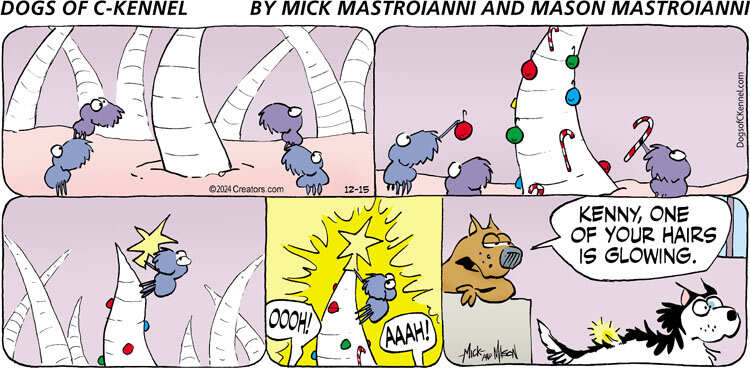 Dogs of C-Kennel for Dec 15, 2024