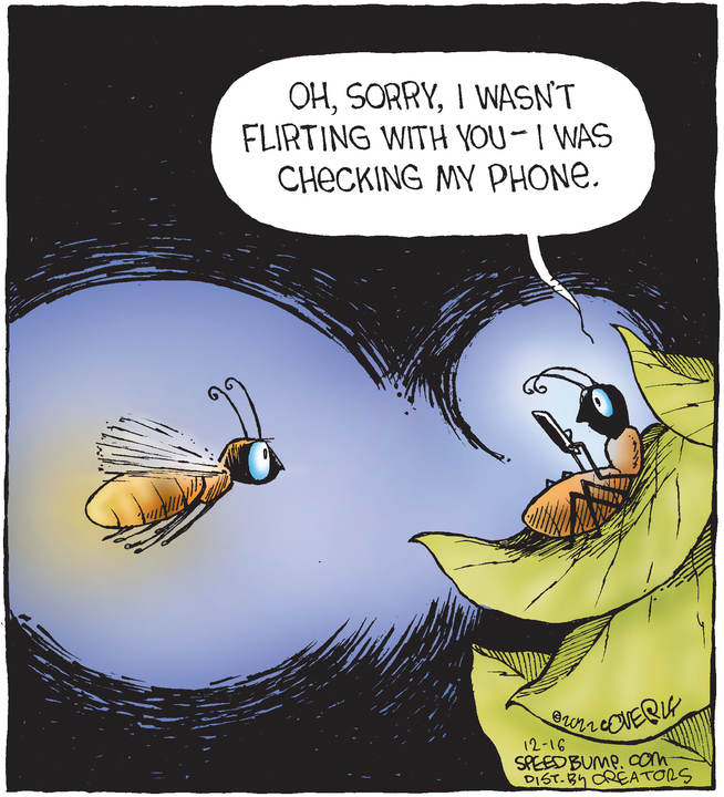 Speed Bump for Dec 16, 2022