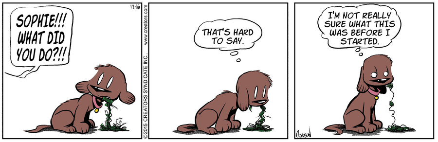 Dog Eat Doug for Dec 16, 2024