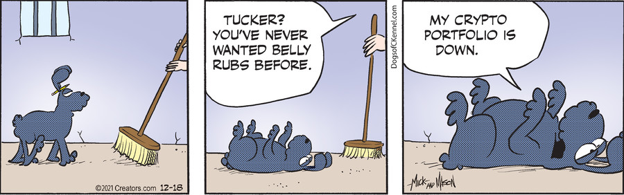 Dogs of C-Kennel for Dec 18, 2021